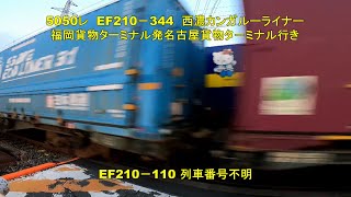 【レベルMAX】ハロ－キティコンテナを探せ　西濃カンガルーライナー5050レ EF210－344