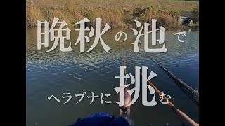 晩秋のヘラブナに挑む、神奈川の池でヘラ釣り