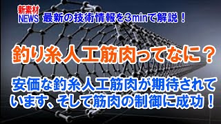 安価な釣り糸人工筋肉とその制御方法の解説です