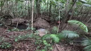 Coffs Coast enduro