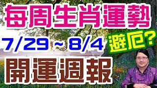 2019生肖運勢週報｜07/29-08/04｜金玲老師（有字幕）