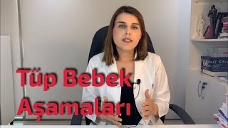 Tüp Bebek Tedavisi Aşamaları - Op. Dr. Funda Yazıcı Erol