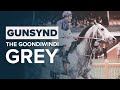 GUNSYND: FROM $1300 BUY TO AUSTRALIAN HORSE RACING HALL OF FAME!