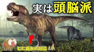 2023年の研究で判明！ティラノサウルスを含む獣脚類は頭が良かった！？【ゆっくり解説】