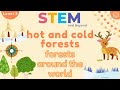 Forests Around the World | KS1 Geography for Kids | STEM Home Learning