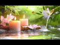 relaxing piano music insomnia and healing 🌿 relaxing music sleep music meditation nature sound