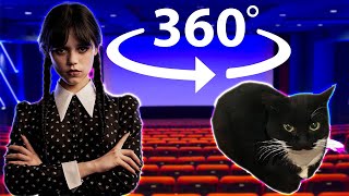 Wednesday Maxwell Cat 360° - CINEMA HALL | VR/360° Experience