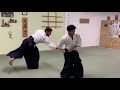 beautiful aikido flow of energy shirakawa ryuji shihan