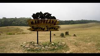 Explore Mawphlang Sacred Forest in Meghalaya, a hub for travel tourism.