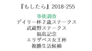 『もしたら』事後調査（デイリー杯２歳ステークス・武蔵野ステークス・福島記念・エリザベス女王杯）2018-255