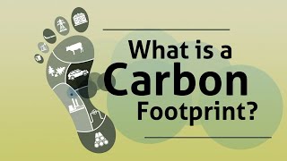 What is a Carbon Footprint?