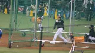 2013.3.31 西武VS日ハム　第３戦　日ハム　二岡　バッティング練習