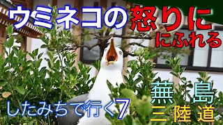 蕪島神社（かぶしま）でウミネコ様の怒りにふれる　したみちで行く7