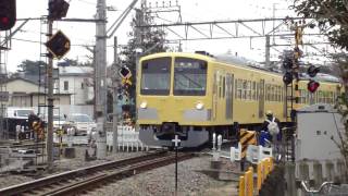 西武新101系259F（レモンイエロー）／萩山＠SONY DSC-WX1