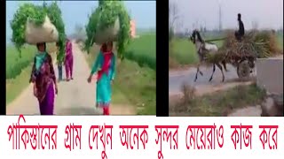 Pakistan village পাকিস্তানের গ্রাম দেখতে কেমন ভিডিওটি দেখুন