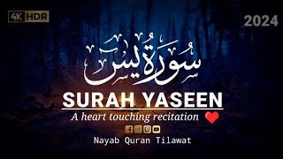 Most Beautiful Recitation Of Surah Yaseen (Yasin) | سورة يس | Nayab Quran Tilawat