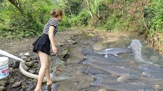Best Fishing Videos, The Girl Cleverly Used Pump To Suck Water In The Wild Lake, Catch A Lot Of Fish