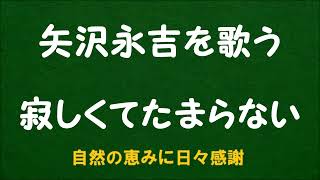 『寂しくてたまらない』／矢沢永吉を歌う_6057　by 自然の恵みに日々感謝