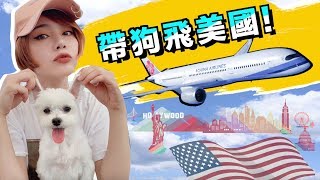 帶狗狗搭飛機去美國！華航商務艙開箱 Fly My Dog To USA  🇺🇸