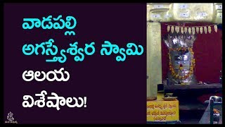 వాడపల్లి అగస్త్యేశ్వర ఆలయ విశేషాలు! | History Of Sri Meenakshi Agasteeshwara Temple | Mana Devullu