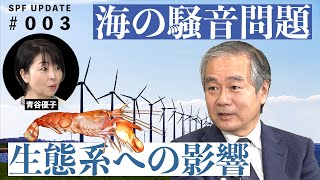 海洋開発に伴う騒音 海洋生物の生態にどう影響!? 海洋政策研究所の赤松友成・海洋政策研究部長/上席研究員が実態を解説し、科学的評価の必要性を訴えました。