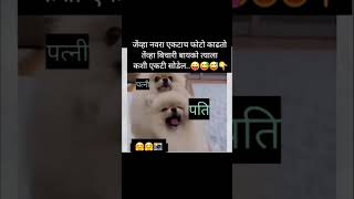 जेंव्हा नवरा एकटाच फोटोज काढतो🤭😅#mrs#snehapatil#trending #viralcomedy#funny#daily#shorts #cat#catlov