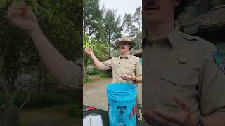 Edible wild Berries in the Oregon Coast