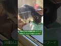 ケガをした野良猫さん保護 cat 毎日我が家に来る野良猫