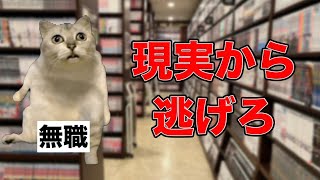 無職ネカフェ生活の現実的な1日【可愛い猫ミームと共に】