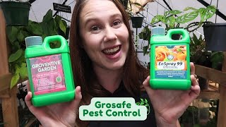 Grosafe Pest Control 🌱 Groventive \u0026 Enspray99 🌱 What Are They? Benefits + How Are They Used?