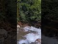 bayangin kalian duduk nyantai di pinggir sungai ☺️ airjernih airpegunungan hutanrimba