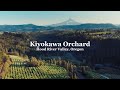 Kiyokawa Family Orchard | Tree-Ripe Fruit Co.