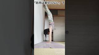 【練習】逆立ち、ハンドスタンド、アドムカヴリクシャアーサナ #yoga #spiral