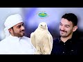 SV Talks: Inside UAE's Falcon Enthusiasts (Ft. Dr Ali Hammad & Khalid Bin Saifan Muhairi)