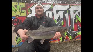 Michigan Winter Steelhead Fishing February 2025