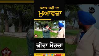 #shorts ਕਣਕ ਦਾ ਮੁਆਵਜਾ | #zira #ziramorcha #ziraprotest #punjab #ziranews  #sirlekh