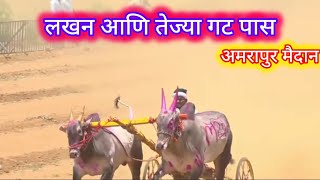 लखन आणि तेज्या गट पास || बैलगाडा शर्यत अमरापुर || bailgada sharyat live || #viral  #lakhan #bakasur