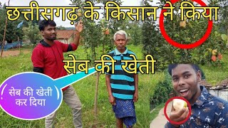 सेब की खेती कर डाला जशपुर के एक किसान ने। chhattisgarh  apple farming  छत्तीसगढ़ में सेब ।