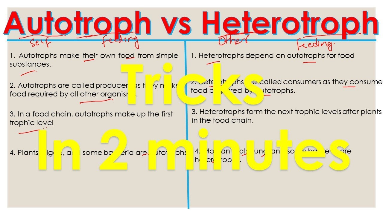 Distinguish Between Autotrophs And Heterotrophs