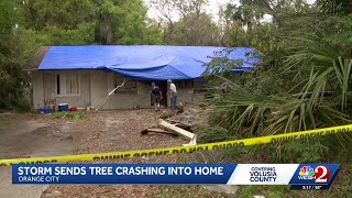 Family displaced after rotting tree crashes through Orange City home