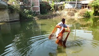 Net Fishing | Catching Fish With Cast Net | Net Fishing in the village (Part-247)