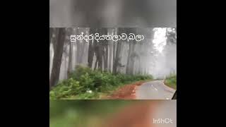 Diyathalawa දියතලාව