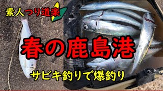 【つり道楽】春の鹿島港でサビキ釣り、ここでも爆釣サバがつれます【つりチャレンジ】