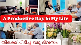 Productive Day In My Life/ ജോലിയും കുട്ടികൾക്ക് സ്കൂളും ഉള്ള ഒരു ദിവസം/#dayinmylifemalayalam #miya