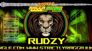 LIVE - DJ RUDZY B ON FIIIRRREEE!!