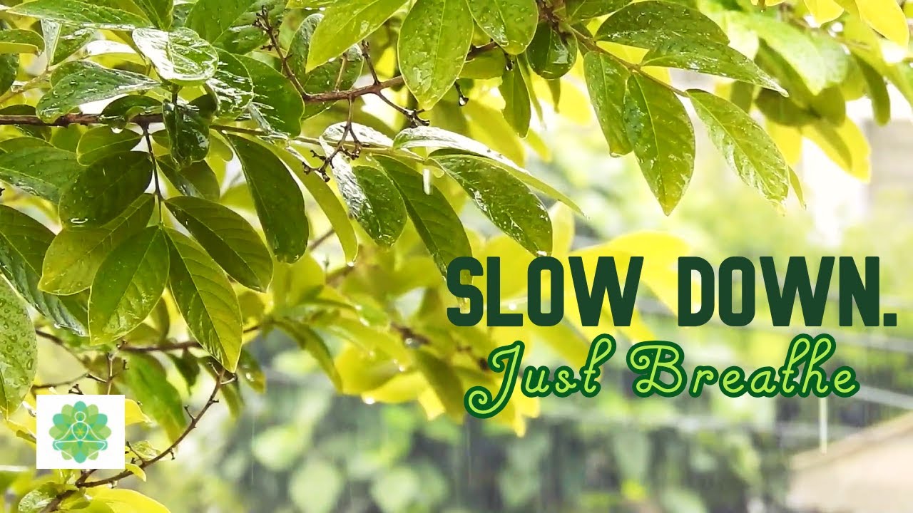 Sleep Meditation Relaxing Music Rain Nature Sounds Meditation Music