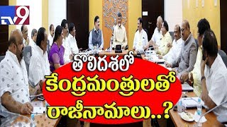 TDP Union Ministers will resign : Chandrababu || AP Special Status - TV9