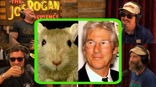jre & protectourparks: everything reveal on the greatest ever bs story "richard gere and the gerbil"