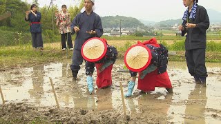 大学生が「中世の稲作」を研究　早乙女姿で田植え、機械や化学肥料使わず栽培へ　香川