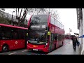 full route visual london central route 185 victoria lewisham eh48